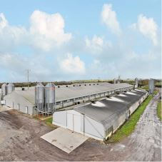 Chicken Farm Building House Layer Egg Chicken Cage Poultry Farm House Design
