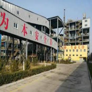 Circulating Fluidized Bed Gasifier