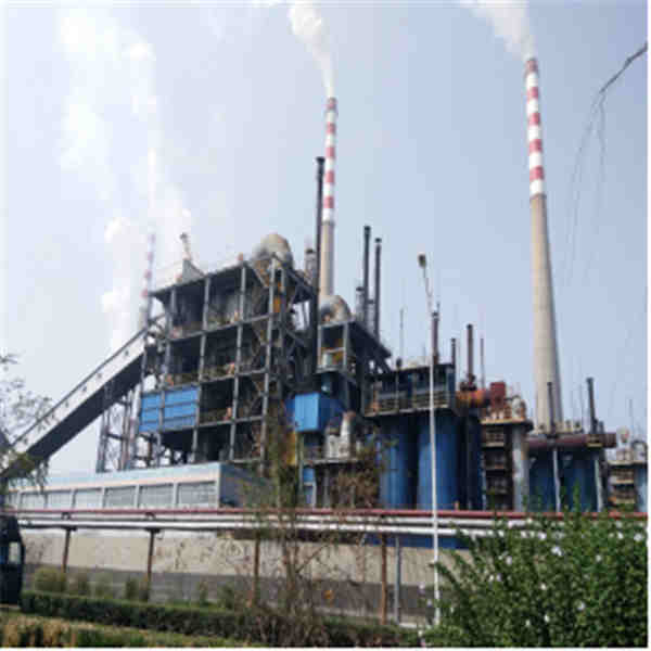 Circulating Fluidized Bed Gasifier