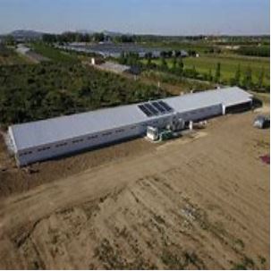 Cowshed Prefab Steel Cow Farm Building