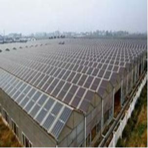 Cowshed Prefab Steel Cow Farm Building