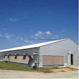 Light Steel Gauge Framing Prefabricated Poultry House