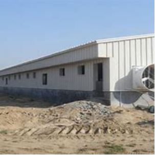 Light Steel Gauge Framing Prefabricated Poultry House