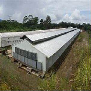 Light Steel Gauge Framing Prefabricated Poultry House