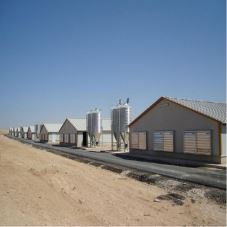 Prefabricated Steel Structure Metal Frame Poultry Farm House Cow Barn Building