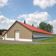 Prefabricated Steel Structure Metal Frame Poultry Farm House Cow Barn Building
