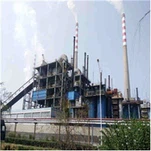 Circulating Fluidized Bed Gasifier