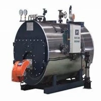 Fully Automatic LPG Fired Steam Boiler For Textile Industry