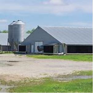 Light Steel Gauge Framing Prefabricated Poultry House
