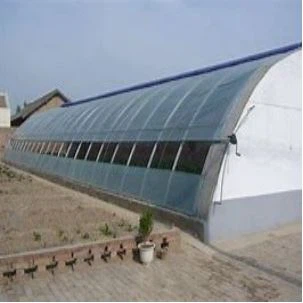 Steel Vegetable Greenhouses Shed