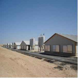 Steel Structure Farm
