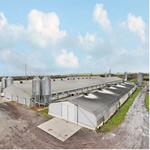 Steel Structure Farm