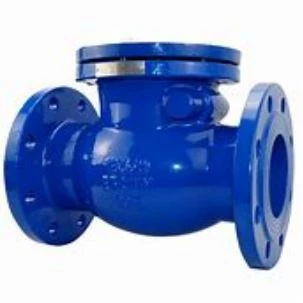 Swing Check Valve