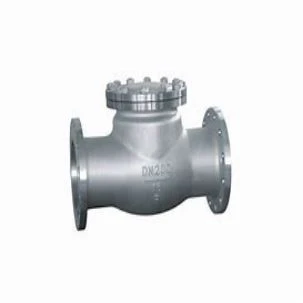 Swing Check Valve