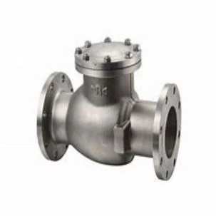 Swing Check Valve