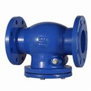 Swing Check Valve