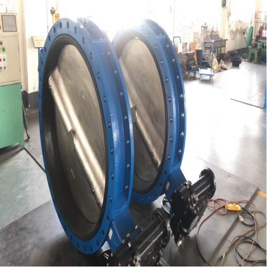 Double Offset Butterfly Valve Casting