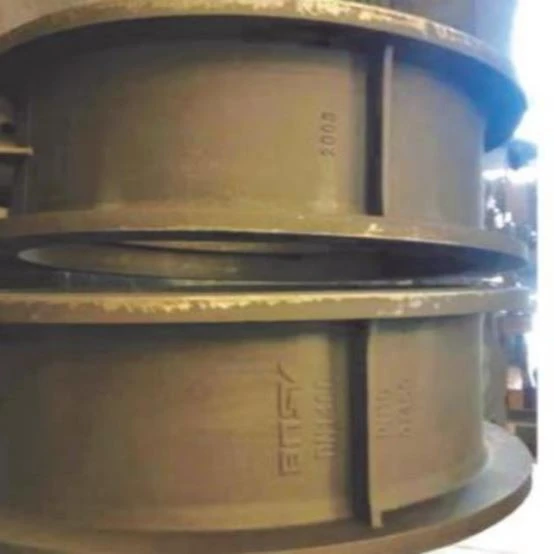 Nodular cast iron valve body casting