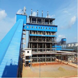 Pressurized Circulating Fluidized Bed Gasifier