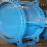 Double Offset Butterfly Valve