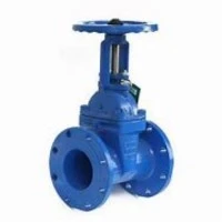 Customized Gate Valve Casting