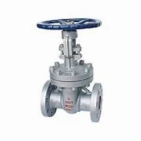 Wedge Gate Valve