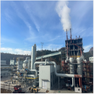 Fluidized Bed Gasifier Pure Oxygen Gasification Technology